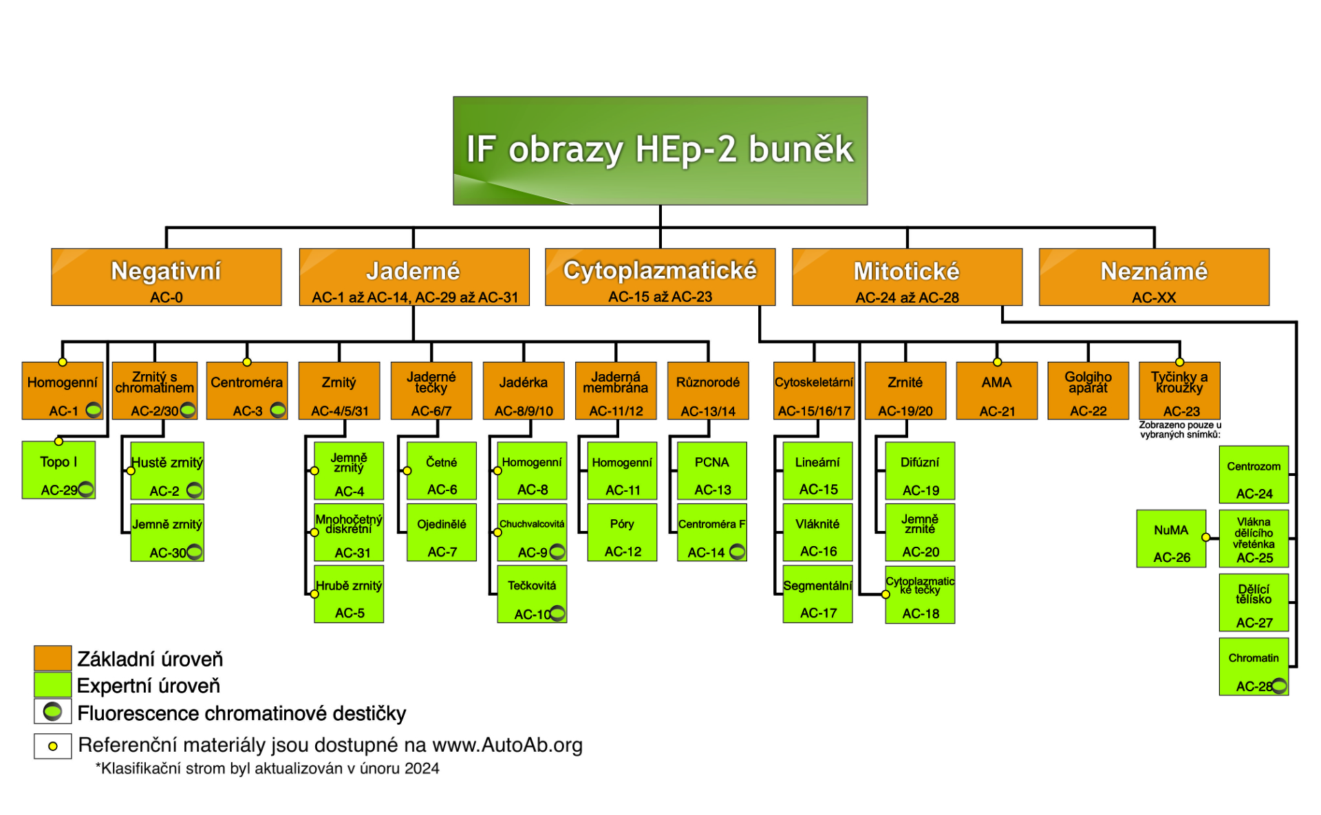Nomenclature and Classification Trees